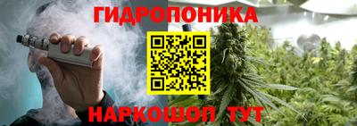 мяу мяу мука Партизанск