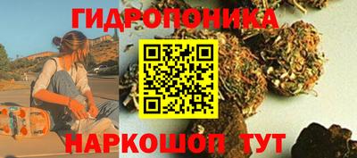мяу мяу мука Партизанск