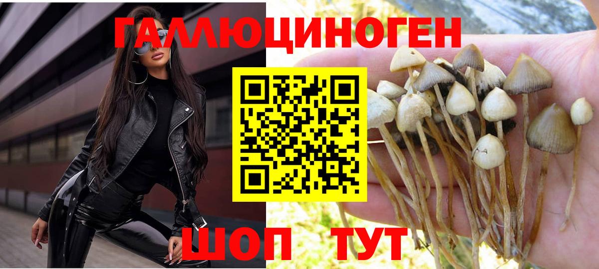 Самара  наркошоп  Галлюциногенные грибы Magic Shrooms  Вход с VPN  Псилоцибиновые грибы Psilocybe 