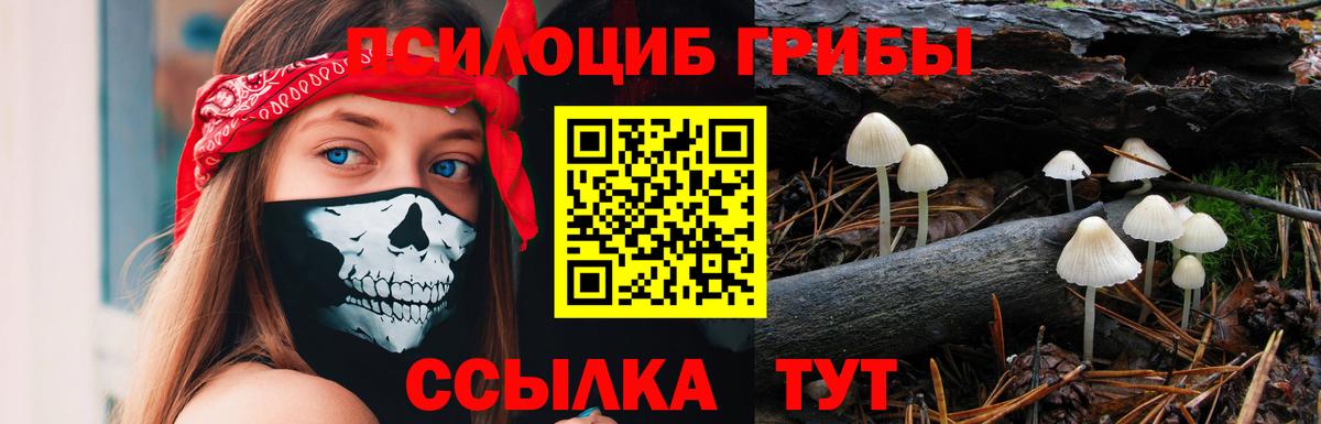 Псилоцибиновые грибы Psilocybine cubensis Самара